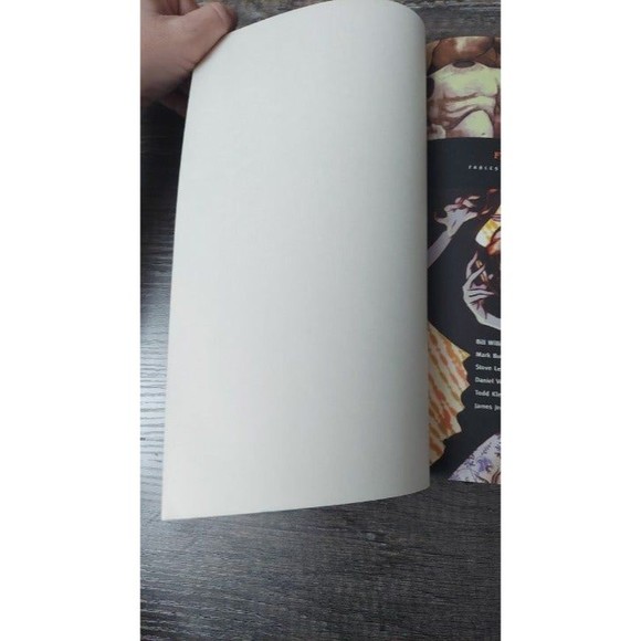 Fables Homelands by Bill Willingham Vol 6 TPB DC Vertigo Comics Softcover - Picture 7 of 12